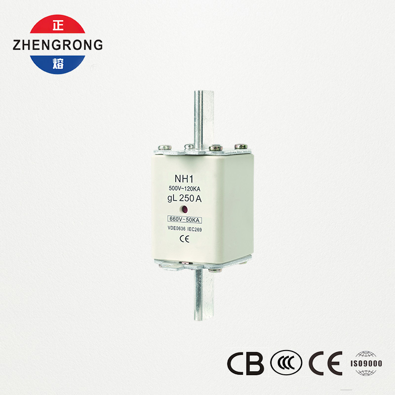 CE & IEC-certifierad säkringslänk NH1 500V 250A hög brytkapacitet